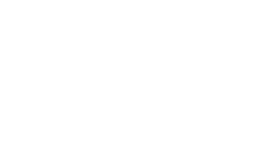 deepseek